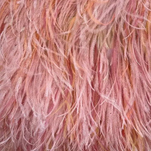 Feather fabric swatch