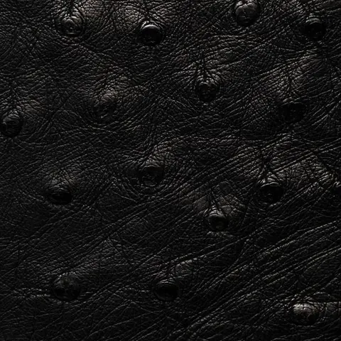 Ostrich fabric swatch